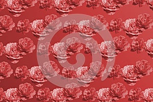 Rose pink color Blossom booming patterm vintage mono tone red