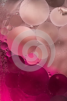 Rose,pink Gradient Oil drops in the water -abstract background