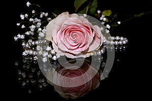 Rose pink pearl glass reflection black background
