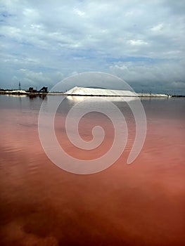 Rose or pink salt beautiful lake with healthy mad