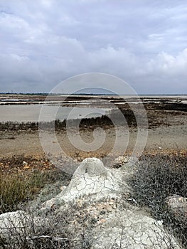 Rose or pink salt beautiful lake with healthy mad