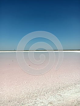 Rose or pink salt beautiful lake with healthy mad