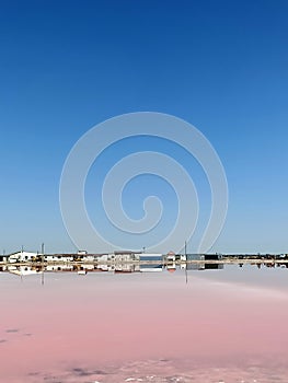 Rose or pink salt beautiful lake with healthy mad