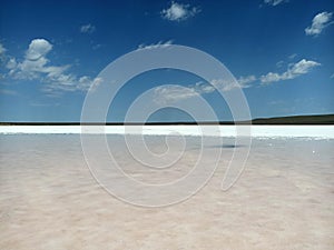 Rose or pink salt beautiful lake with healthy mad