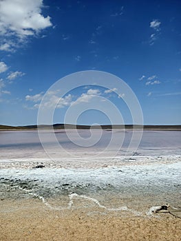 Rose or pink salt beautiful lake with healthy mad