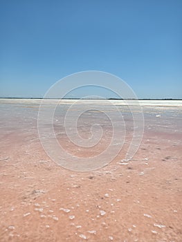 Rose or pink salt beautiful lake with healthy mad