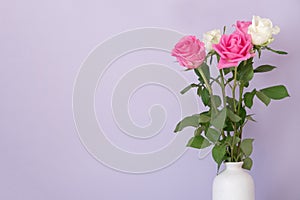 Rose placed on the desk in blue background