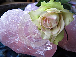 Rose quartz crystal chunks with a pale pink rose close up