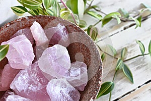 Rose Quartz Crystal and Lush Green Plant