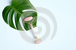 Rose quartz face roller with monstera leaf on blue background. Jade facial massager, anti-aging, anti-wrinkle beauty skincare tool