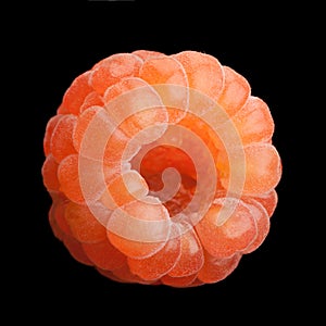 Rose raspberry fruit on black