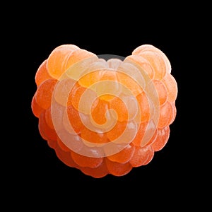 Rose raspberry fruit on black