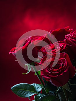 Rose. Red roses. Bouquet of red roses. Several roses on Granite background. Valentines Day, wedding day background.