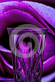 A Rose Refraction In Glass