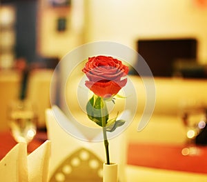 Rose on a Restaurant Table