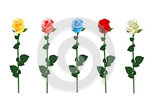 Set of red, white, yellow, blue and pink rose buds