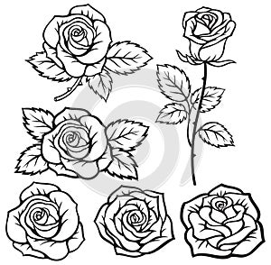 Rose silhouette black color vector illustration