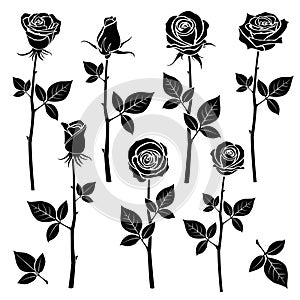 Rose silhouettes, spring buds vector symbols