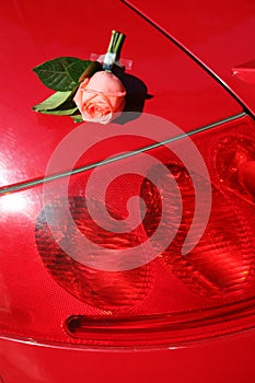 Rose and sports car