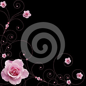 Rose and swirls vector
