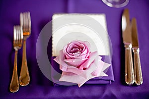 Rose on table