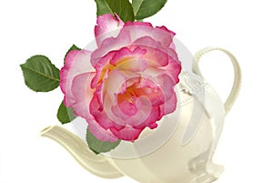 Rose In A Teapot