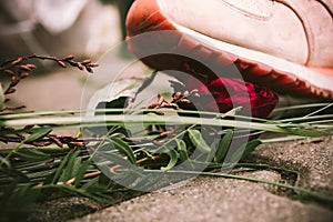 A rose that is trampled with a shoe