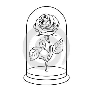 Rose under glass cap coloring book vector