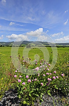 Rose Valley, Kiama Australia