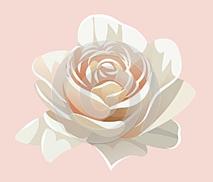 Rose vector flower for wedding invitation, elegant set of decorative design elements. Floral pastel vector style stock