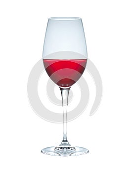 Rose vine isolated on white