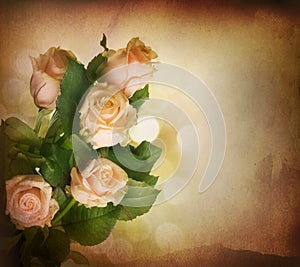 Rose.Vintage styled photo