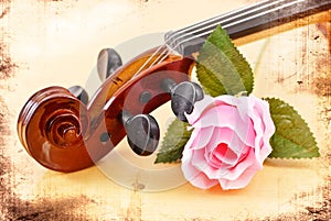 Rose with Violin