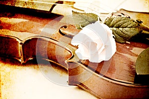 Rose on a Violin