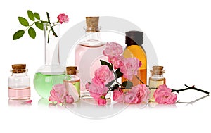Rose water and essential perfume oil bottled and fresh pink flowers isolated on white background