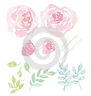 Rose watercolor flowers kit for design.