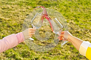 Rose white splashes on green grass background. Clink with red wine glasses outside on the garden. garden party. Two