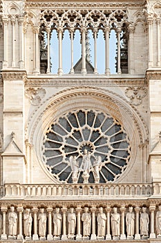 Rose window of Notre Dame de Paris