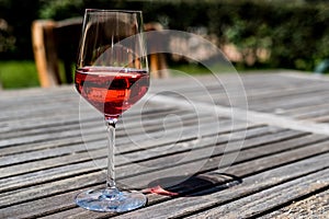 Rose Wine glass at garden natural light