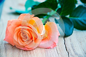 Rose on wooden table