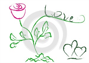 Rose and the word love. Vector