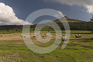 Roseberry Topping