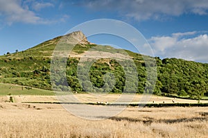 Roseberry Topping photo