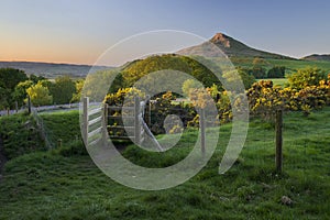 Roseberry Topping during summer