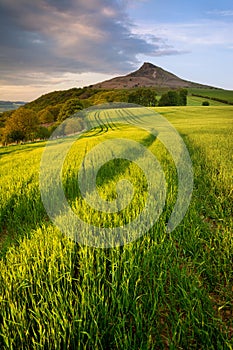 Roseberry Topping during summer