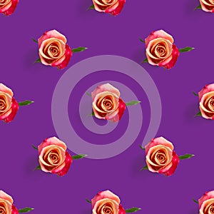 rosebud seamless pattern. head of rose bloom isolated on purpule pattern, pop art
