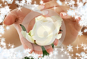 Rosebud with snowflakes photo