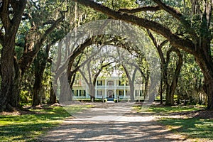 Rosedown Plantation