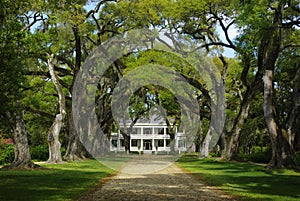 Rosedown Plantation Home photo