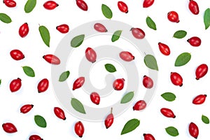 Rosehip berries isolated on white background. Flat lay pattern. Top view